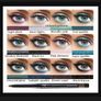 3in1 Set - Amazing Eyeshadow Palette + Applicator + Matching Eyeliner Image 3