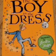 David Walliams - The Boy In The Dress