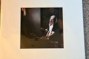 Brand New Print of Johannes Vermeer Woman with a Balance