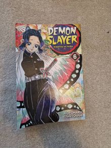 book demon slayer 6