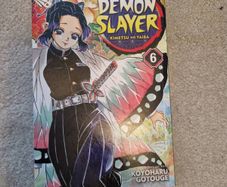 book demon slayer 6