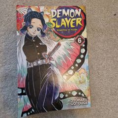 book demon slayer 6