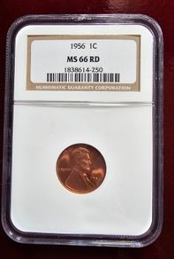1956 Lincoln Wheat Cent NGC Vintage Holder