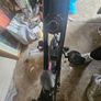 Exercise bike Image 4