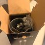 Nespresso Aerocinno 3 (Brand New) Image 3