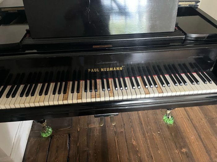 Grand Piano Paul Neumann