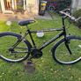 bike Image 2