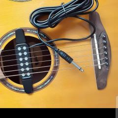 Acoustic Guitar Pick Ups