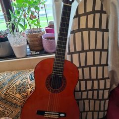 Acoustic Guitar