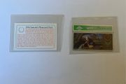 1994 Collectors Fair Card