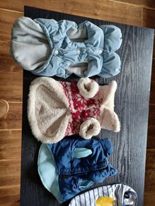 dog coats XS