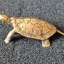 3 brass Turtles,. Solid brass. Image 4