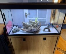 Fluval fish tanks 200 liter