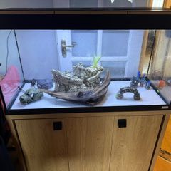 Fluval fish tanks 200 liter