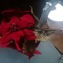 4PC X Poinsettia Artificial Flowers Image 2