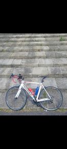 ridley carbon road bike