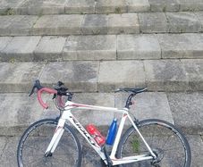 ridley carbon road bike