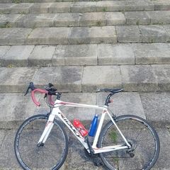 ridley carbon road bike