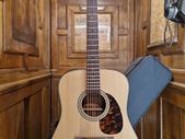 Takamine FT340BS
