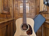 main image for ad Takamine FT340BS