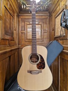 Takamine FT340BS