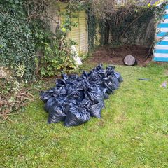 Free Top Soil