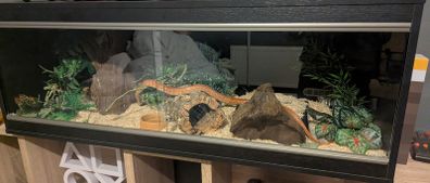 snake