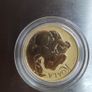 Gold coin koala Image 2