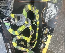 dino track