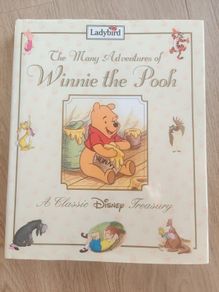 The Many Adventures of Winnie the Pooh
