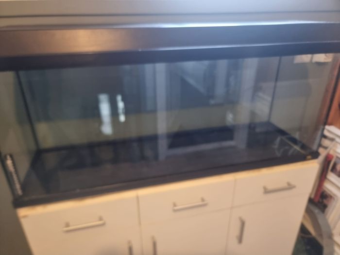 100 l fish tank