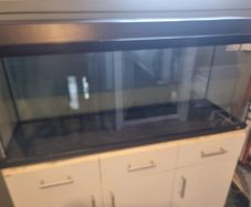 100 l fish tank
