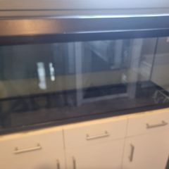 100 l fish tank