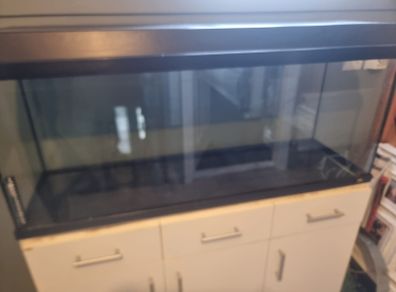 100 l fish tank
