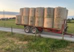 hay for sale