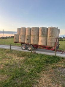 hay for sale