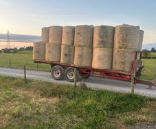 hay for sale