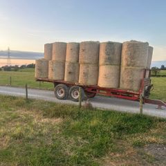 hay for sale