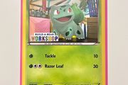Pokemon TCG - Bulbasaur 1/108 Build-A-Bear Workshop Promo (Dark Explorers Era)