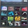 Vangelis. Soil festivities. Original Irish release in near mint condition Image 2