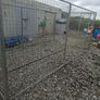 Dog run Image 3