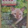 Cat World Image 8