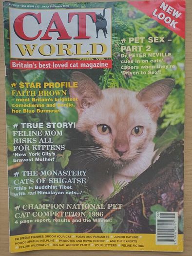 Cat World