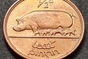 Ireland Excellent 1964 Half Penny coin Full Lustre