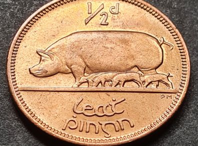Ireland Excellent 1964 Half Penny coin Full Lustre