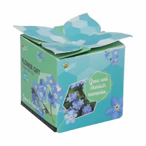 Buzzy Forget-Me-Not flower gift - pack of 4