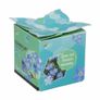 Buzzy Forget-Me-Not flower gift - pack of 4 Image 2
