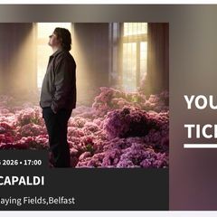 Lewis Capaldi Tickets x2 Belfast 20th August