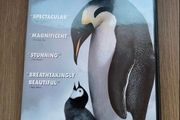 March of the Penguins (DVD)