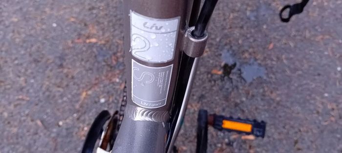Ladies Bicycle Giant